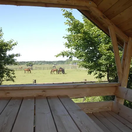 Ferien Auf Einem Reiterhof Διαμέρισμα *