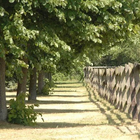Ferien Auf Einem Reiterhof Διαμέρισμα